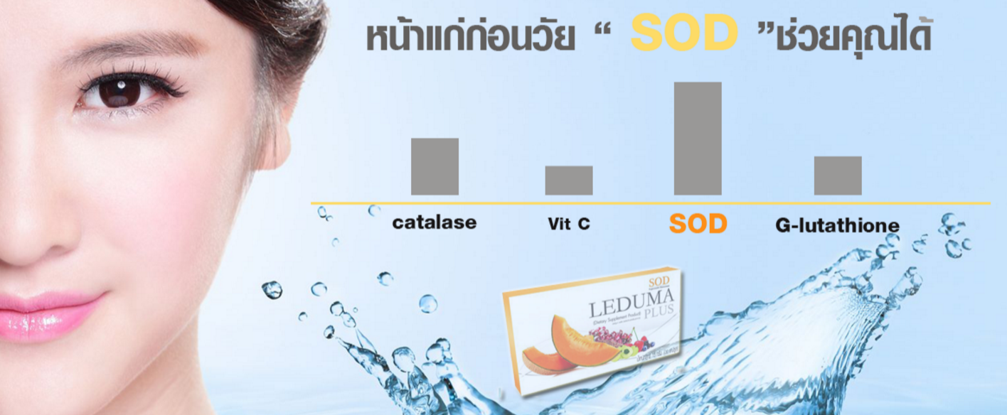เอสโอดี เลอดูม่า พลัส (Leduma Plus แบบ SOD)