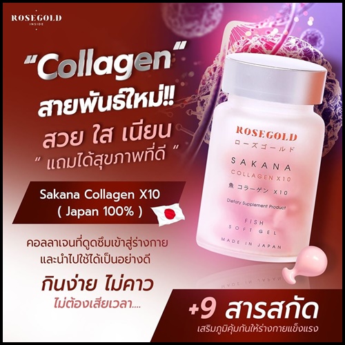 ซาคานะ คอลลาเจน Sakana collagen x10 by Rose Gold (ของแท้ ส่งฟรี)