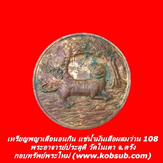 เหรียญพญาเสือนอนกินแช่น้ำมันเสือผสมว่าน 108 หลวงพ่อประสูติ วัดในเตา จ.ตรัง