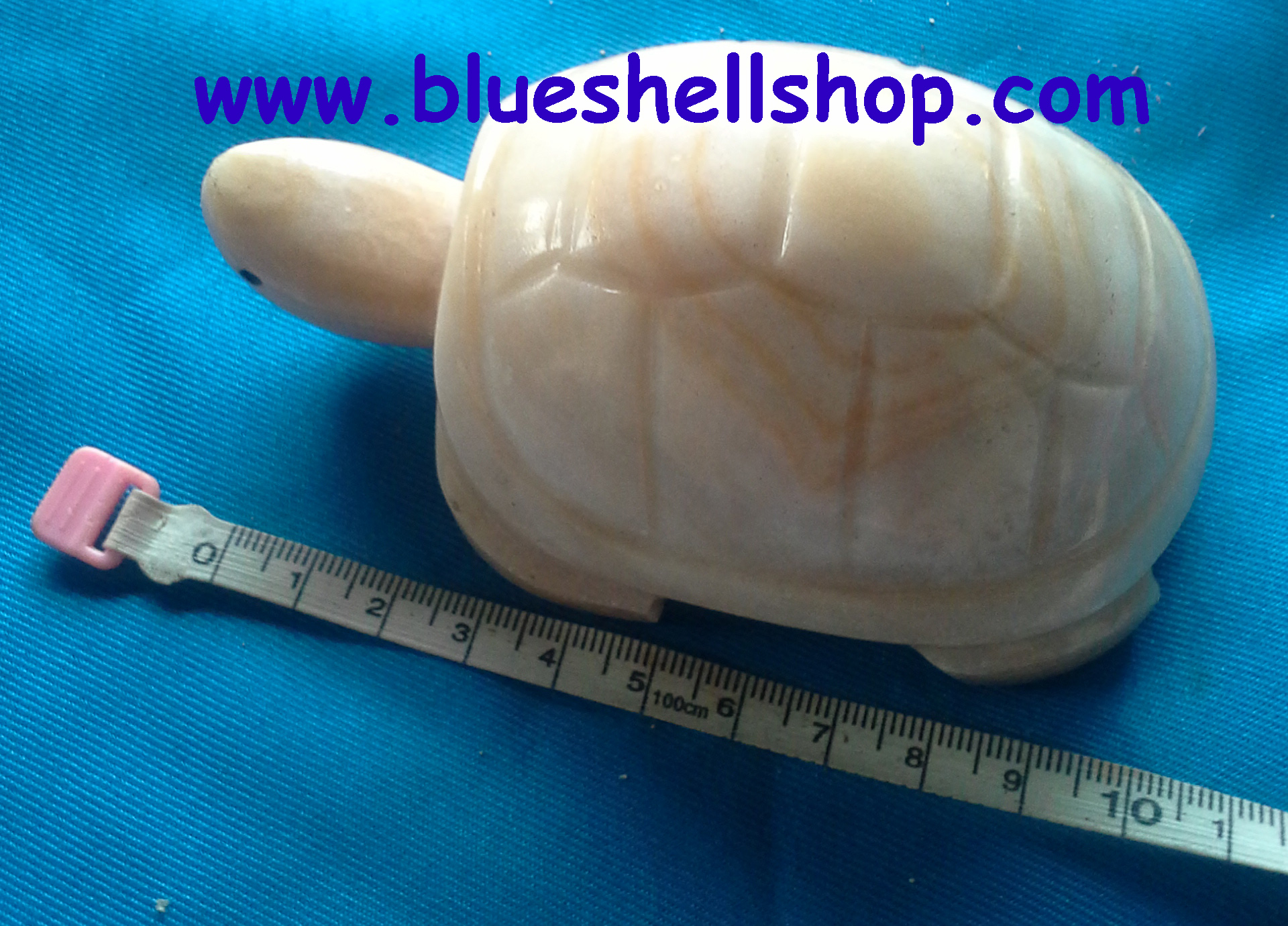 เต่าหินอ่อน