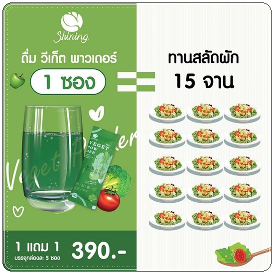 วีเก็ตพาวเดอร์ Veget Power Shining