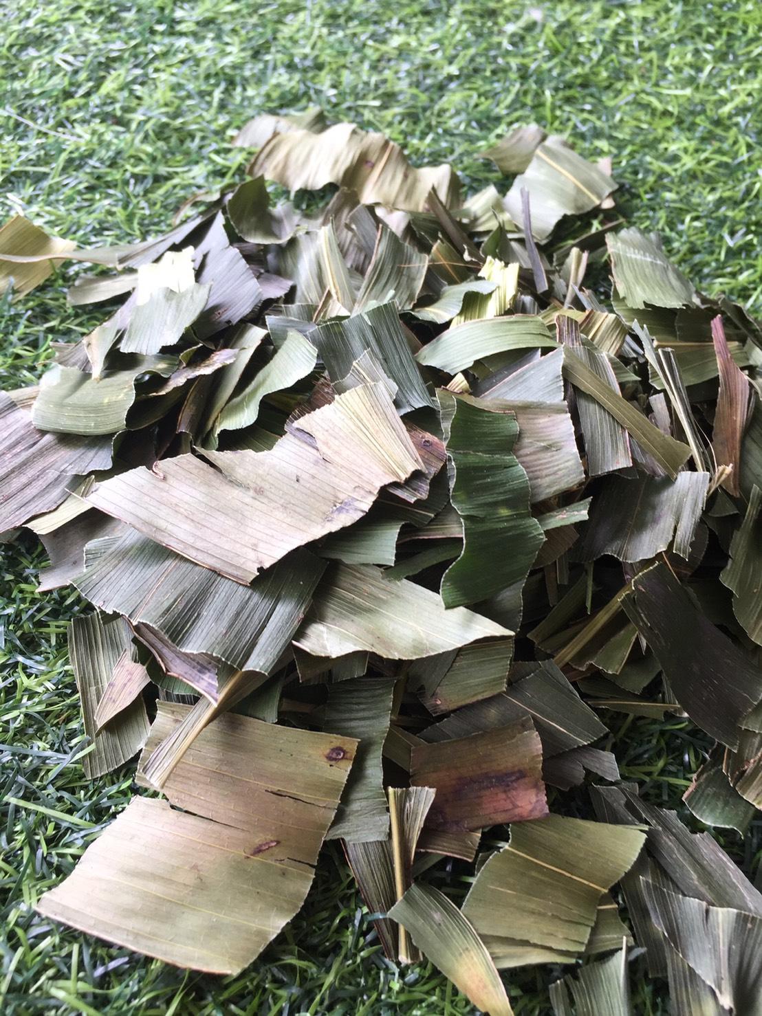 ใบชาปู่เฒ่าทิ้งไม้เท้า น้ำหนัก 100 กรัม ใบปู่เฒ่าลืมไม้เท้า ผู้เฒ่าลืมไม้เท้า สมุนไพรปู่เฒ่าทิ้งไม้เท้าอบแห้ง ใบชา จากยอดดอยอ่างขาง อ.ฝาง จ.เชียงใหม่ ผลิตจากปู่เฒ่าทิ้งไม้เท้าที่อายุมากกว่า 2 ปี บรรเทาอาการปวดหลัง ปวดเอว แก้ร้อนใน ช่วยบำรุงกำลัง ต้านความเ