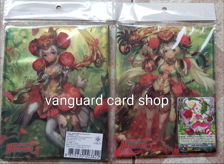 แฟ้มใส่การ์ด 4 ช่อง ลายอาช่า แถมการ์ด 2 ใบ