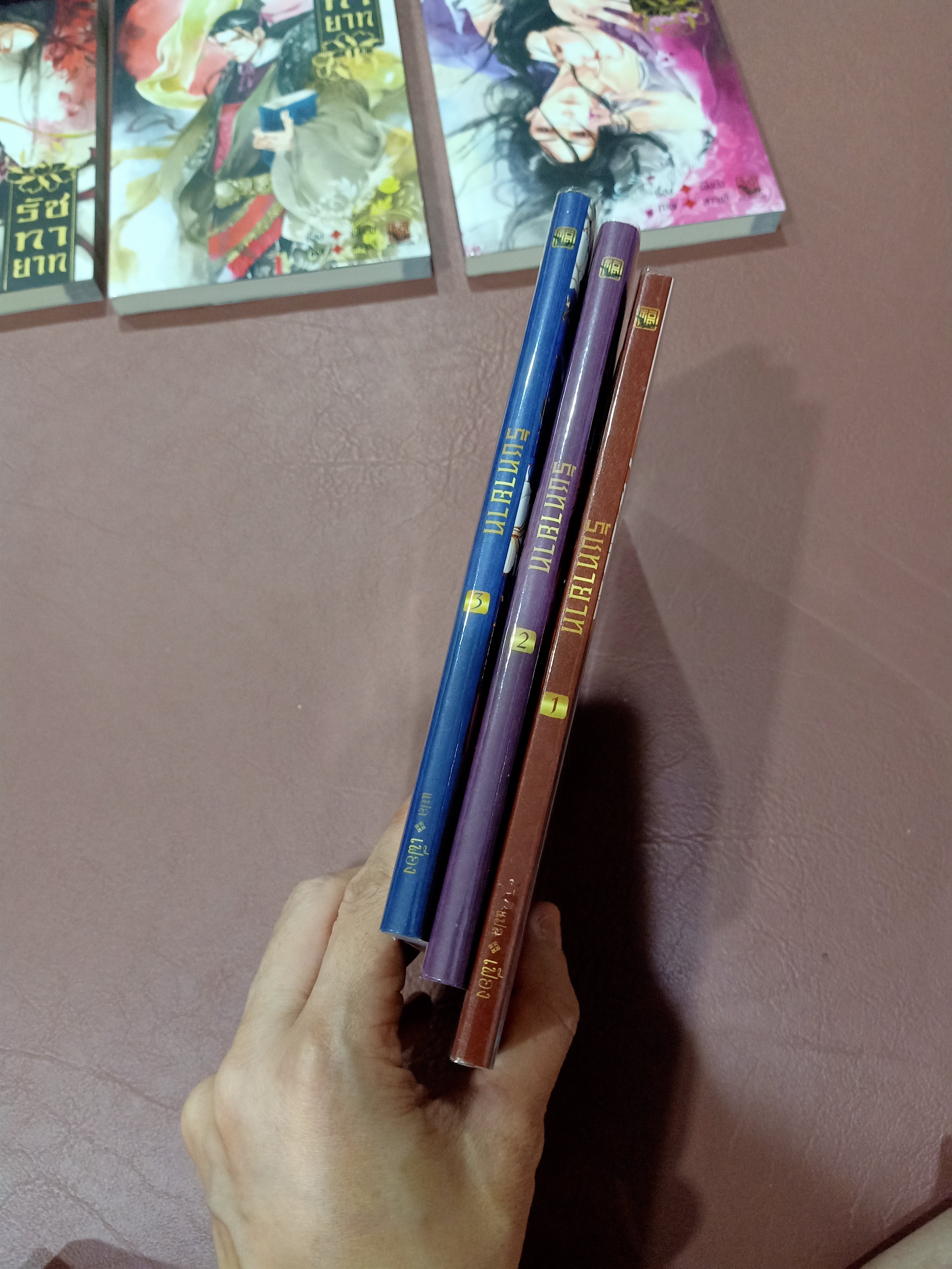Boxset นิยายแปล รัชทายาท 5 เล่ม รอบจอง ฉบับรีปิ้น + การ์ตูน 3 เล่ม + เล่มพิเศษ + โดจิน