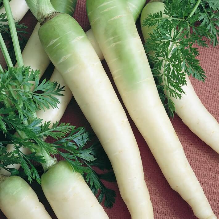 แครอทสีขาว - Lunar White Carrot