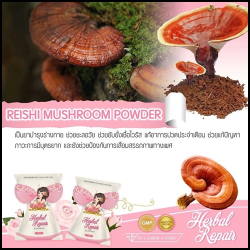 สมุนไพรรีแพร์ by บุษบา แพคเกจใหม่