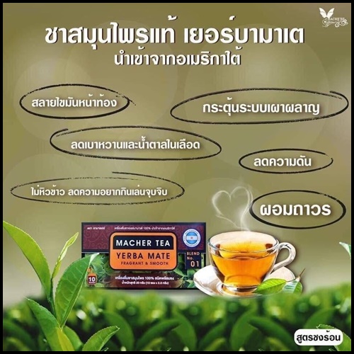 ชามาเต Macher Tea Yerba Mate