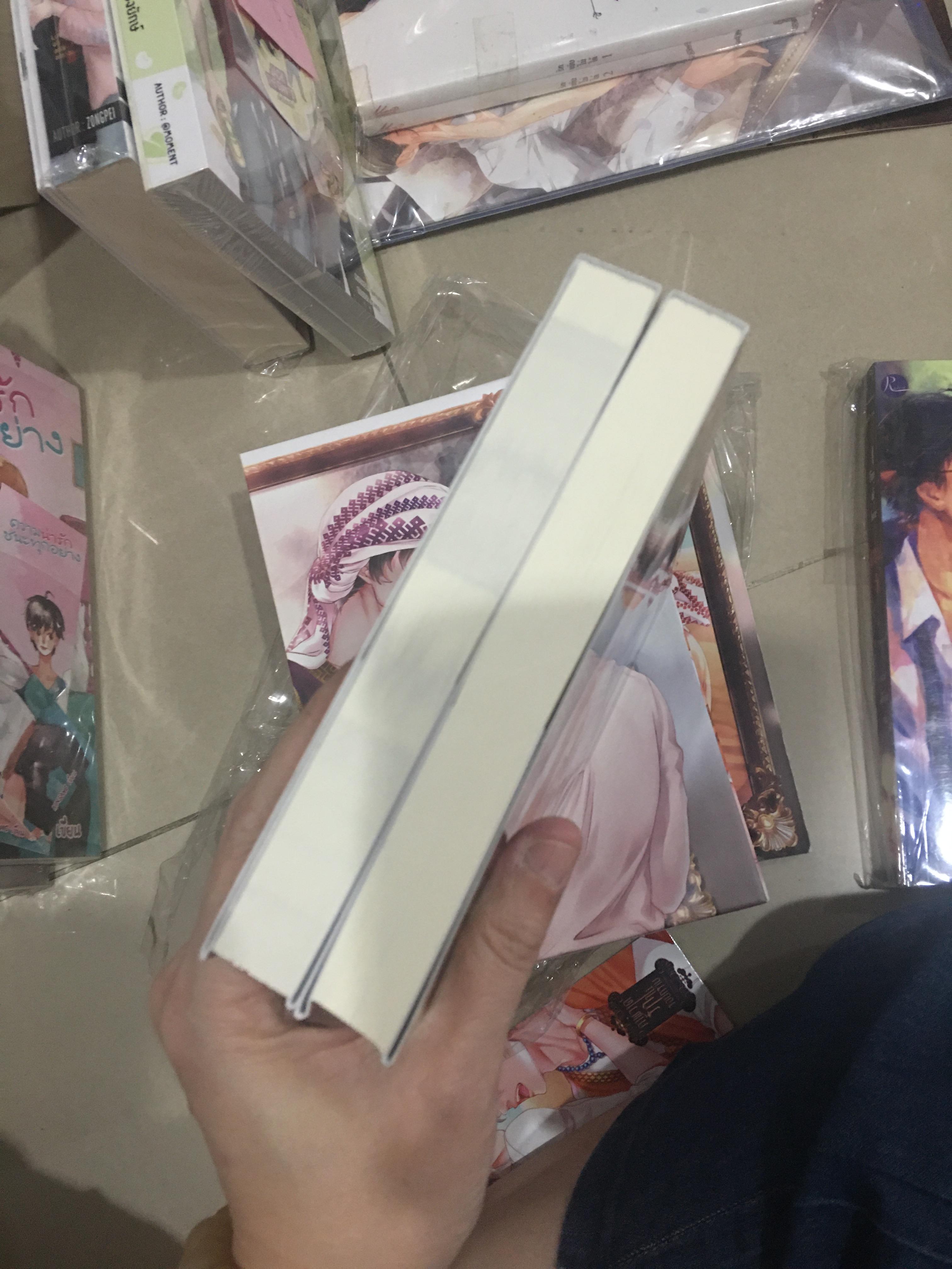 นิยาย ภาพวาดรักในรอยทราย + ดวงใจเจ้าเพลิง