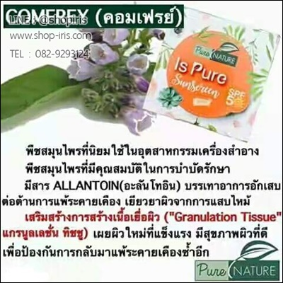 ครีมกันแดด Is Pure Sunscreen (สูตรบำรุงผิว ผสมรองพื้น)
