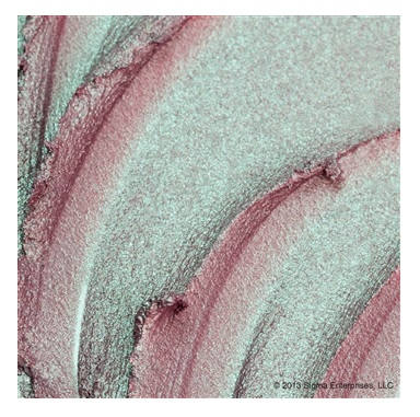 SIGMA Eye Shadow Base - Spy