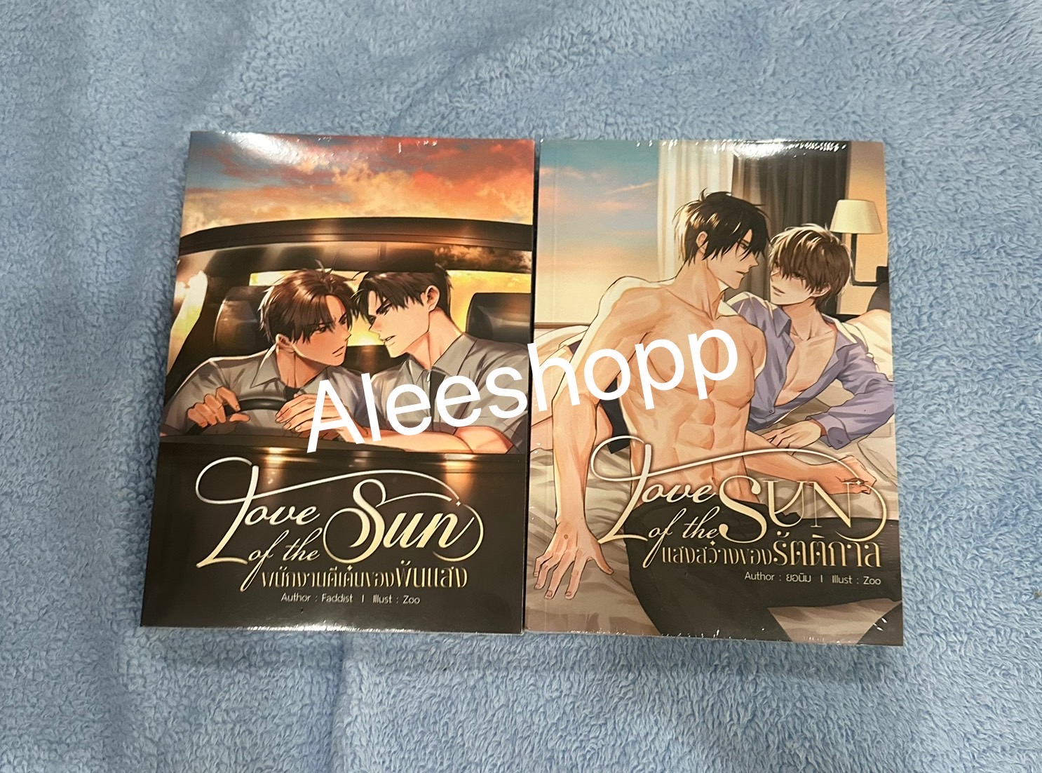 นิยายแต่ง 2 เรื่อง พนักงานดีเด่นของพันแสง + แสงสว่างจองรัตติกาล รอบจอง