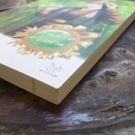 ปราบพยศหญิงงาม/ปลอบขวัญหญิงงาม/รอยอาลัยหญิงงาม/ทวงแค้นหญิงงาม/เอาใจหญิงงาม(เตี่ยนซิน)