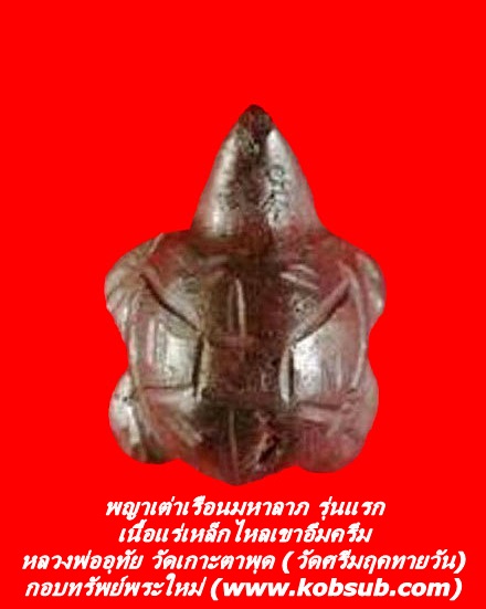 พญาเต่าเรือนมหาลาภ เนื้อแร่เหล็กไหลเขาอึมครึม หลวงพ่ออุทัย วัดเกาะตาพุด (วัดศรีมฤคทายวัน)