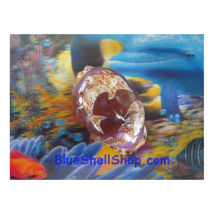 หอยเบี้ยแก้เล็กสลักรูปโลมา