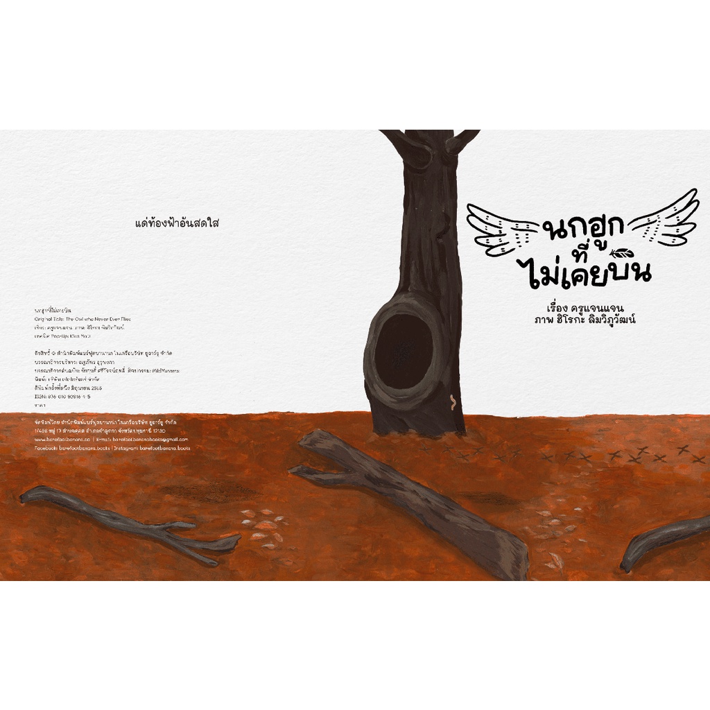 นกฮูกที่ไม่เคยบิน (ปกแข็ง) 3-5 ปี