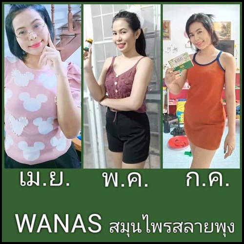 สมุนไพรดีท็อกซ์ WANAS Detox Herb (โปรส่งฟรี)