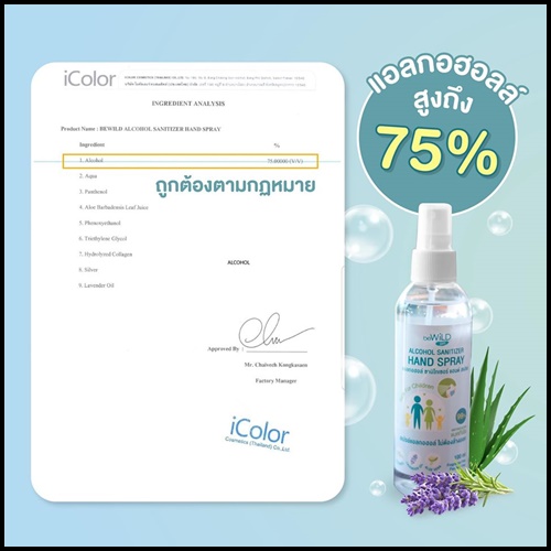 สเปรย์แอลกอฮอล์ Bewild Alcohol Sanitizer Hand Spray