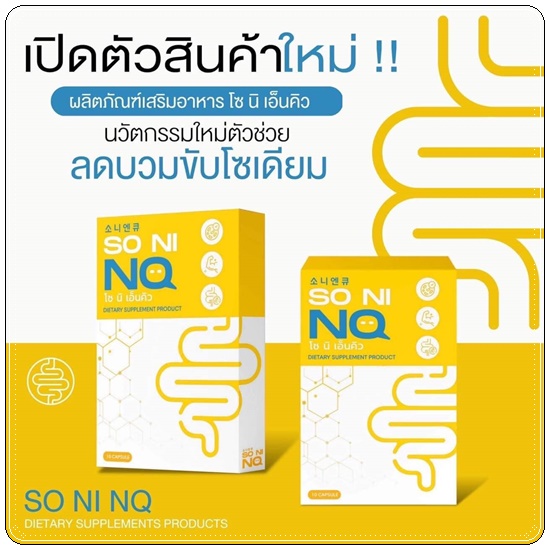 SO NI NQ โซ นิ เอ็นคิว ลดบวม