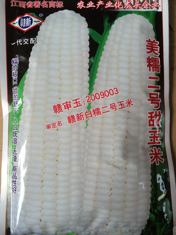 ข้าวโพดหวานสีขาวเมจิ 2 - White Sweet Corn Meji II