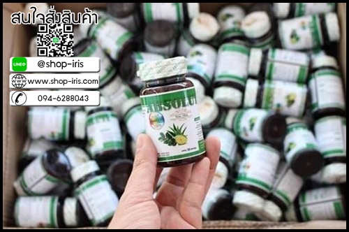 แอปโซลูท ไนท์ สลิม Absolute Nine slim (ไนท์ติแคปแพคเกจใหม่)