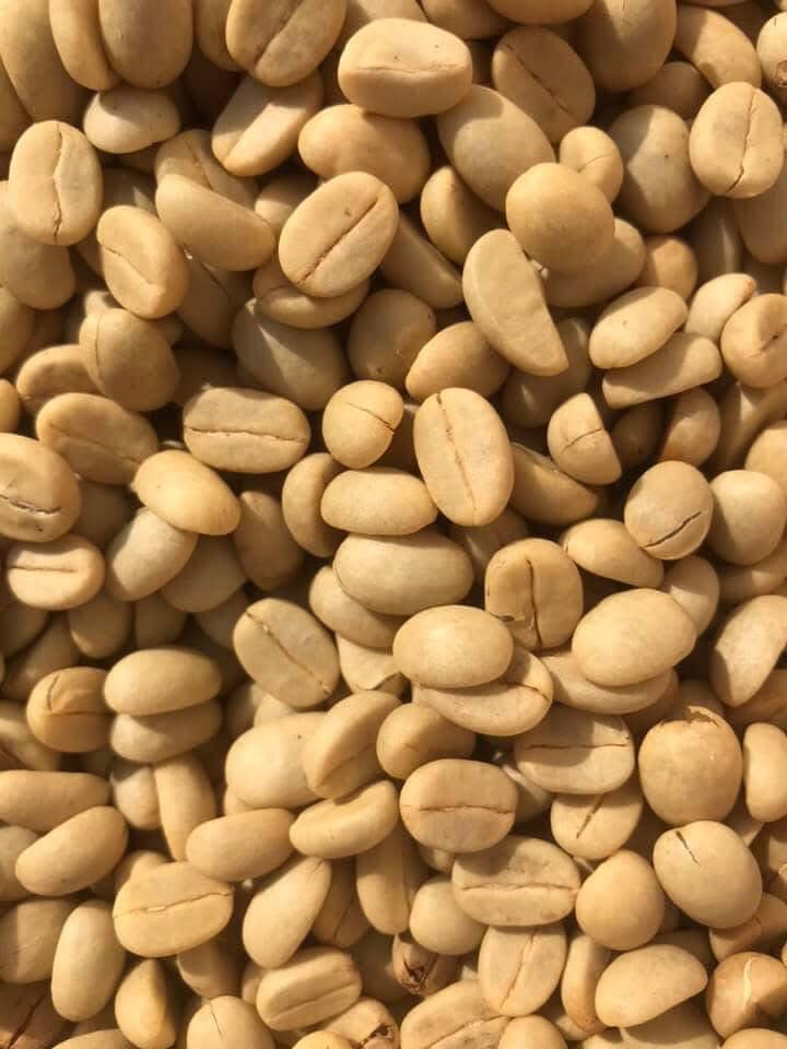 ☕✨กาแฟบด 500 กรัม คั่วกลาง✨☕ เพลิดเพลินกับกาแฟคั่วบด Ground Coffee - Dark Roast 500 g ☕กาแฟคั่วบด กาแฟอาราบิก้า (Arabica) 100% Shade Grown Coffee ปลูกกาแฟใต้ร่มเงา เมล็ดกาแฟออร์แกนิค ปลูกแบบธรรมชาติ ปลอดสาร จากยอดดอย อ.แ