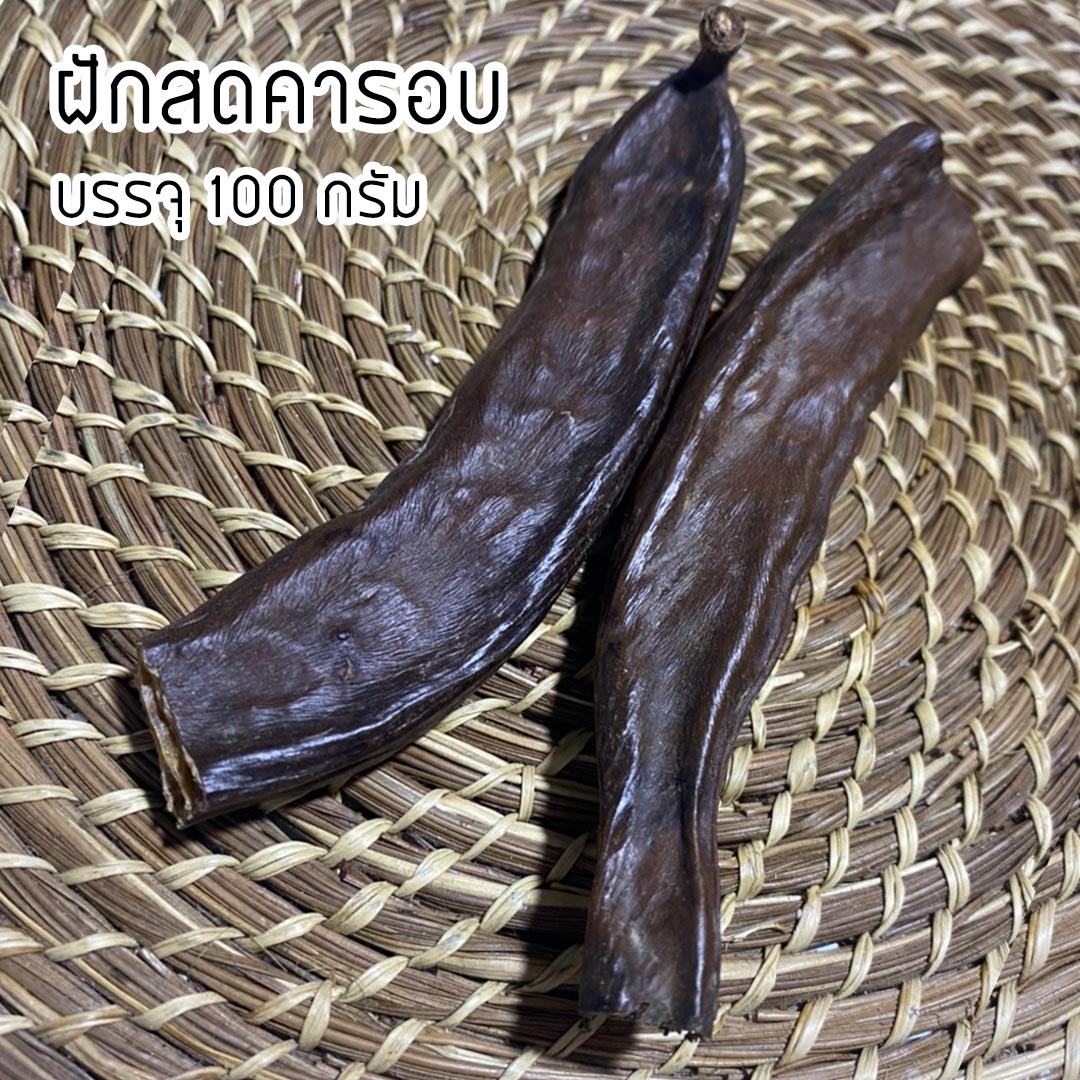 ฝักสดคารอบ - Carob Tree (Ceratonia siliqua)