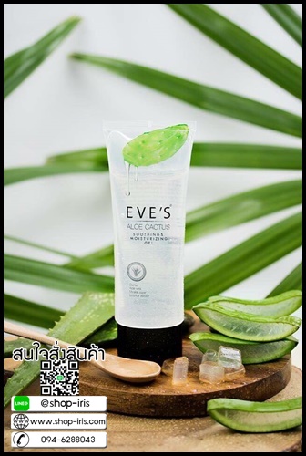 อีฟอะโล เจลพักผิว EVE'S Aloe Cactus