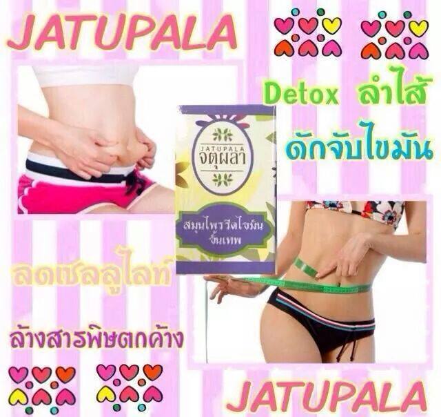 จตุผลา สมุนไพรรีดไขมัน