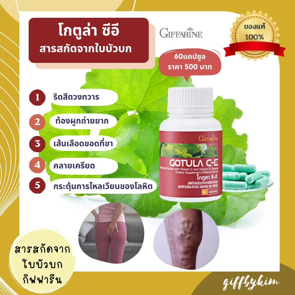 โกตูล่า ซี-อี