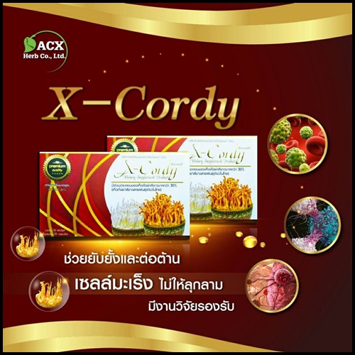 เอ็กซ์ คอร์ดี้ X-Cordy ผลิตภัณฑ์อาหารเสริมจาก ถั่งเช่าแท้ 100%