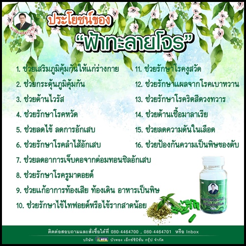 ฟ้าทะลายโจร ตราโหรทศพรโอสถ
