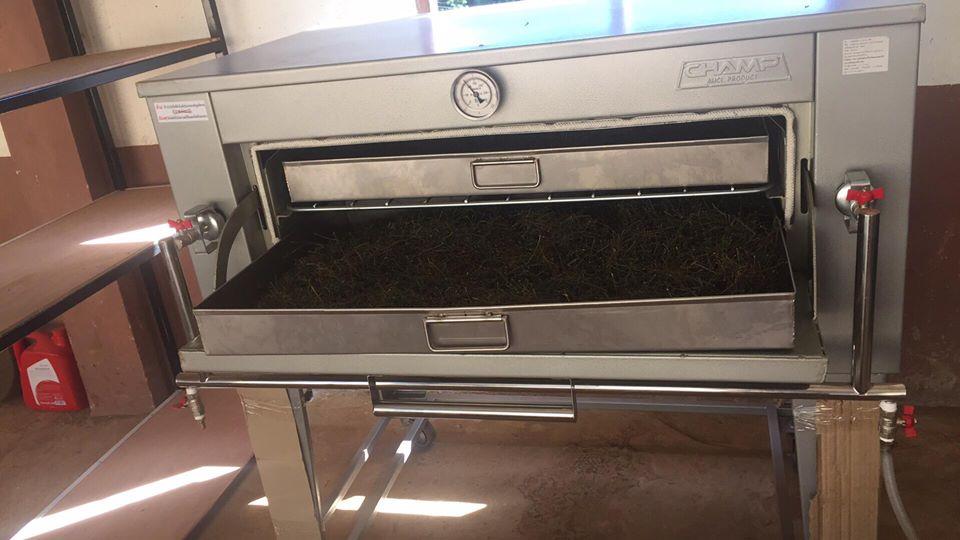 ชาเจียวกู่หลาน ขนาด 500 กรัม (ครึ่งกิโลกรัม) ราคานี้คุ้มสุด ๆ ชาออแกร์นิค เจียวกู่หลาน ปลอดสารเคมี Jiaogulan (Gynostemma pentaphyllum) ชาสมุนไพรแห่งชาติปี 2548