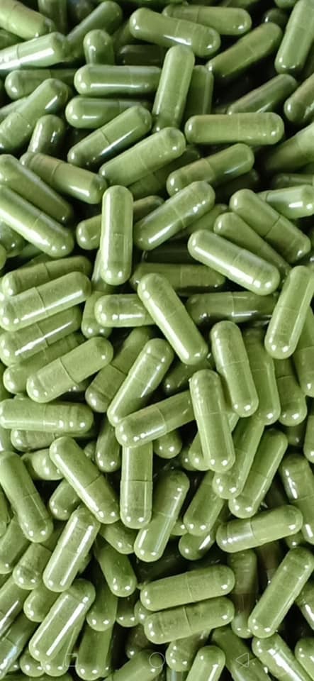 เชียงดาแคปซูล 60 เม็ด Gymnema เชียงดาแคปซูล Organic Chiangda Tea ได้รับเครื่องหมาย ประทับตรา NFI ผักเชียงดาอัดแคปซูลปลอดสารสำหรับผู้ที่มีปัญหาระดับน้ำตาลในเลือดสูง ช่วยปรับระดับอินซูลินในร่ายกายให้อยู่ในสภาวะที่สมดุล