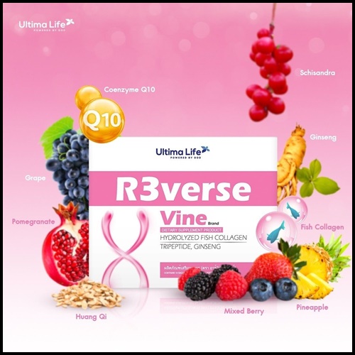 R3verse Vine HYDROLYZED FISH COLLAGEN รีเวิส วาย อาหารเสริมสำหรับผู้หญิง