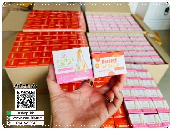 ครีมโสมไข่มุกเกาหลี Pontina Skincare (แถมฟรี กันแดด)