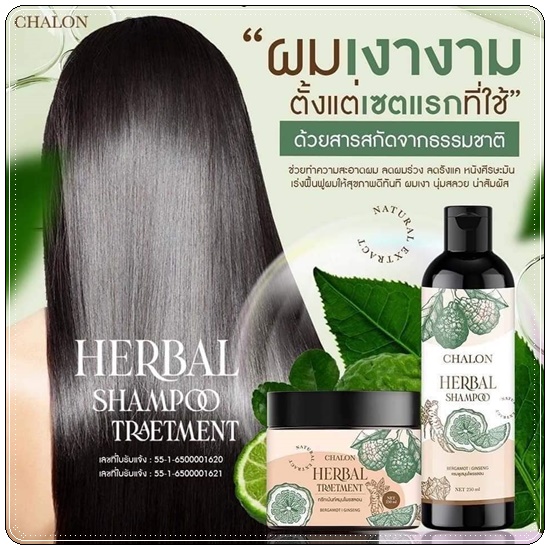 แชมพูมะกรูดชลอน Chalon Herbal Shampoo (แถมฟรี ทรีทเม้นชลอน)