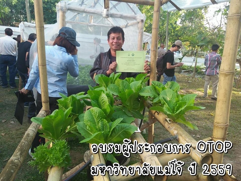 ชาทุเรียนเทศ 15 ซองชา สินค้าคุณภาพ ราคาไม่แพง ชาทุเรียนเทศอบแห้ง ทุเรียนเทศ Organic tea สินค้าออแกร์นิค ผลิตภัณฑ์คุณภาพ รับรองโดยกรมวิชาการเกษตร Graviola soursop tea ชาทุเรียนเทศเหมาะกับผู้มีปัญหาเรื่องมะเร็ง กลิ่นหอม สดชื่น ดื่มง่าย