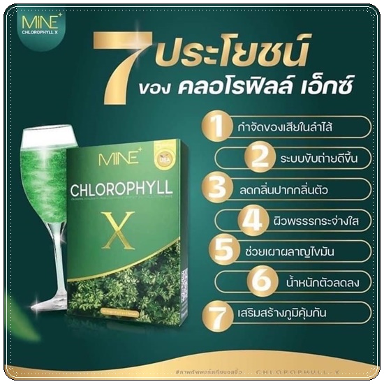 คลอโรฟิลล์ เอ็กซ์ CHLOROPHYLL X คลอโรฟิลล์มายมิ้น