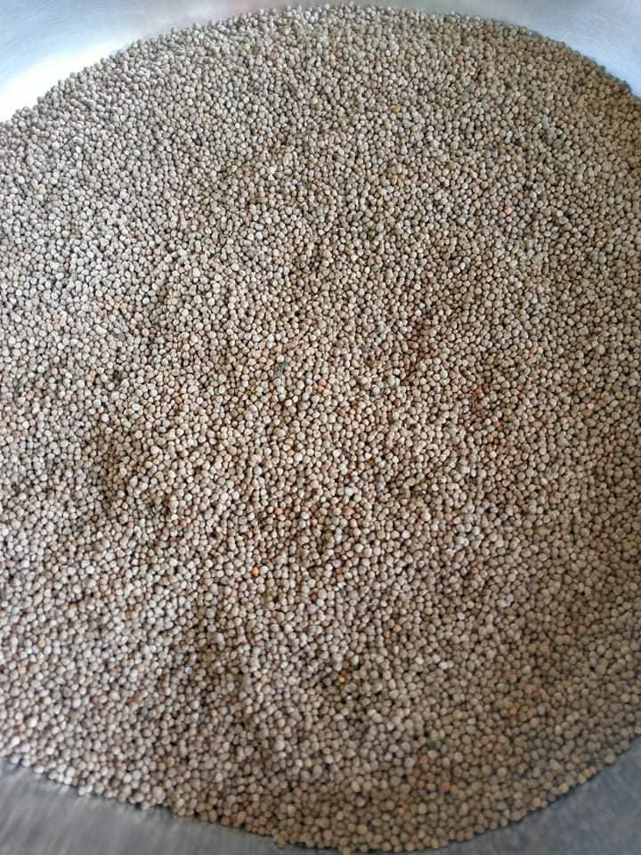 ข้าวปุกงา + ผงน้ำอ้อย จำนวน 10 แผ่น / 1 แพค ข้าวหนุกงา งาขี้ม่อน น้ำหนักประมาณ 850 - 900 กรัม สูตรม้งแบบดั้งเดิม อร่อยไม่เหมือนใคร ทำสดใหม่ทุกวัน