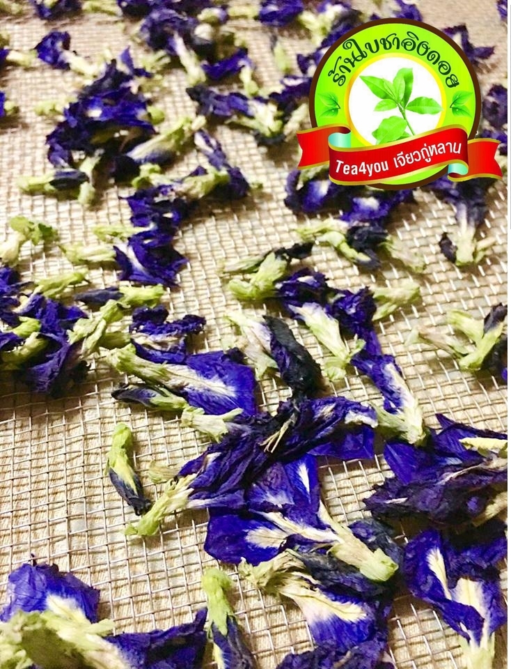 ดอกอัญชัน ดอกอัญชันแห้ง 100 กรัม Butterfly pea 100 g มีฤทธิ์ในการละลายลิ่มเลือด มีส่วนช่วยในการชะลอวัยและริ้วรอยแห่งวัย ต่อต้านอนุมูลอิสระในร่างกาย ช่วยเสริมสร้างภูมิต้านทานให้ร่างกายและเพิ่มพลังงานให้ร่างกาย