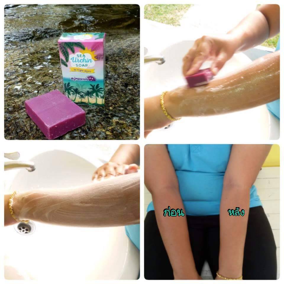 สบู่หอยเม่น (Sea Urchin Soap By Night Merry)