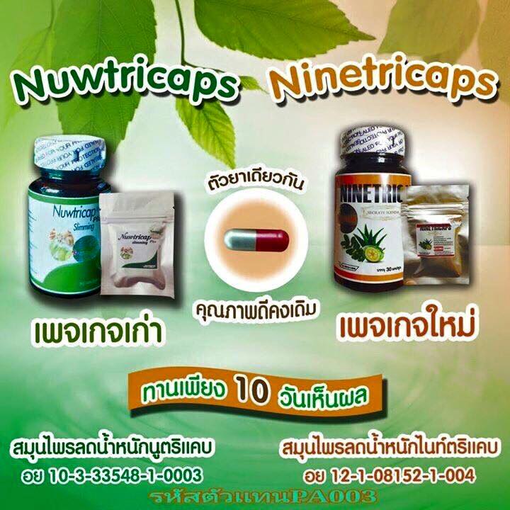 ไนท์ตริแคป สมุนไพรลดน้ำหนัก (Ninetricaps)