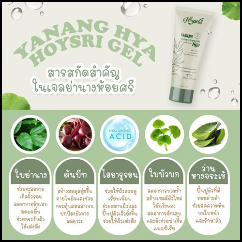 เจลย่านางห้อยศรี Hoysri Yanang Hya เจลย่านางไฮยา