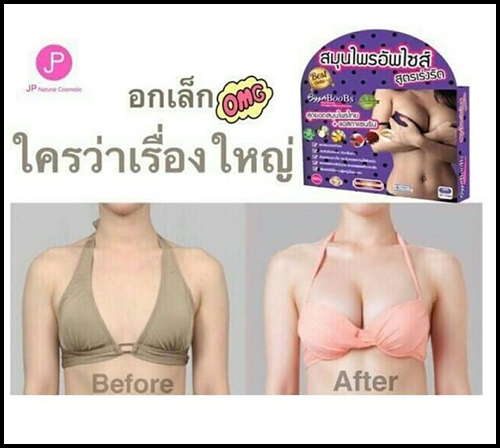 สมุนไพรอัพไซส์ สูตรเร่งรัด Bigger BooBs