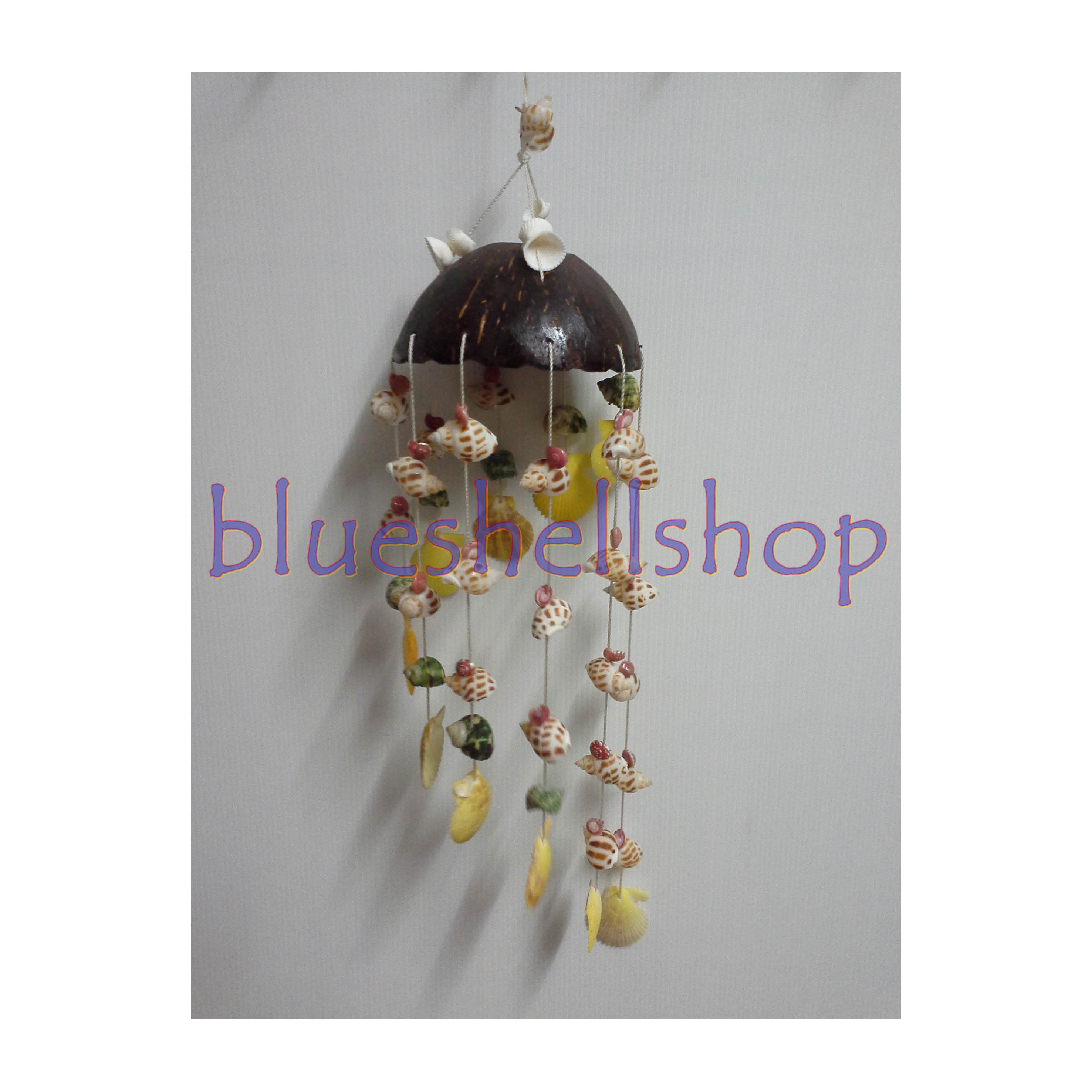 งานกะลาหอยเวียน