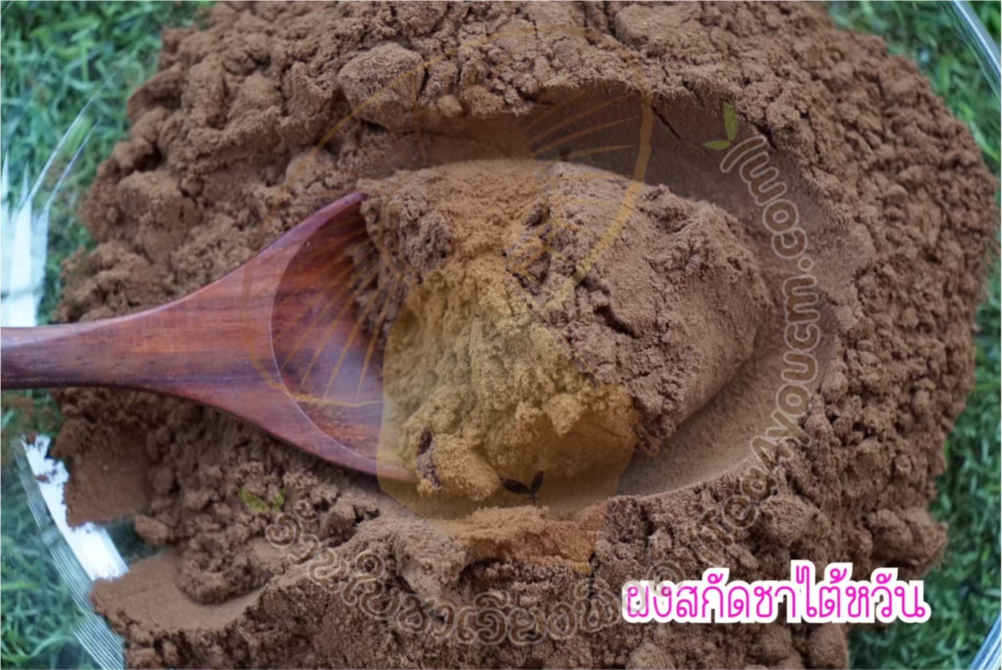 ผงชาไต้หวันสกัดแท้ ขนาดทดลอง 20 กรัม ไม่มีน้ำตาล ละลายน้ำได้ ไม่มีตะกอน ทำชานม เบเกอรี่ Taiwan Tea Extract Powder ชาไต้หวันแท้ ผงชานมไต้หวัน ชาทำเครื่องดื่ม ผงชาสกัด ชาชง ทำเค้ก คุกกี้ ไอศกรีม คุณภาพพรีเมียม ผงชาแท้ ชงชา ทำขนม ชาไต้หวันสกัด Tea Powder