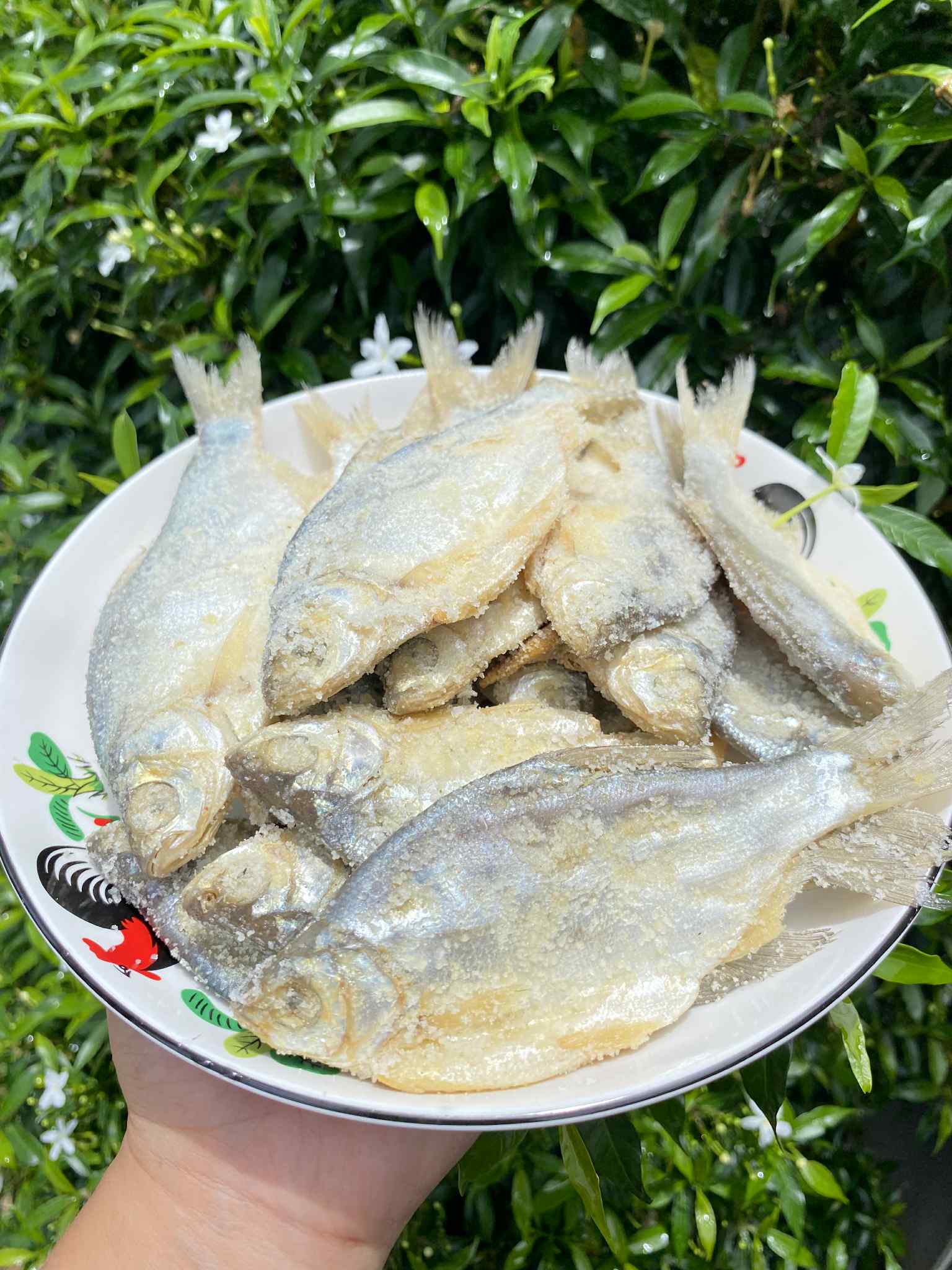 ปลาหมักเกลือ ปลาเน่า น้ำหนัก 500 กรัม ပႃႇၸႃႇ - ပႃႇၸႃႇၶမ်းၵႅတ်းသေ ปลาหมักสูตรไทยใหญ่ Fermented Fish - Burmese Style Pickled Fish ปลาเน่า ปลาเน่าเกเซ นำไปประกอบอาหารได้หลากหลายชนิด รับประกันความอร่อย