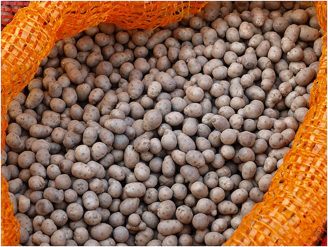 ฮ่วยซัว - Chinese yam