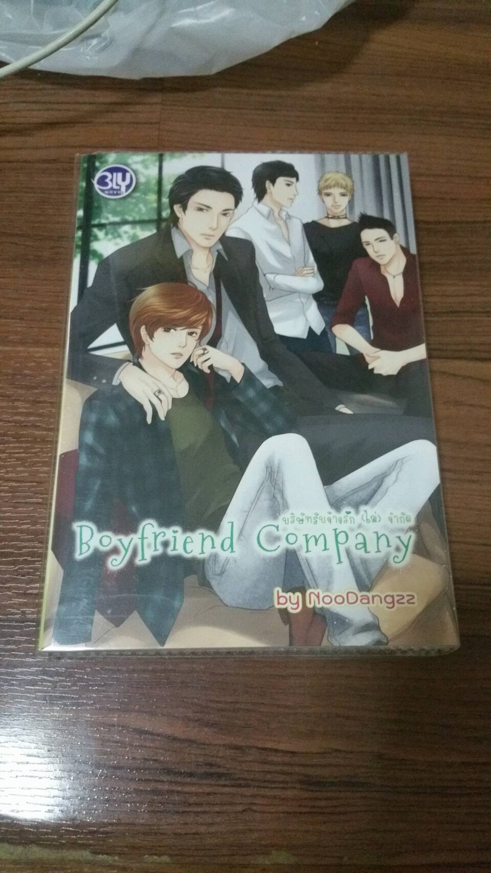 นิยาย boyfriend company มือสอง