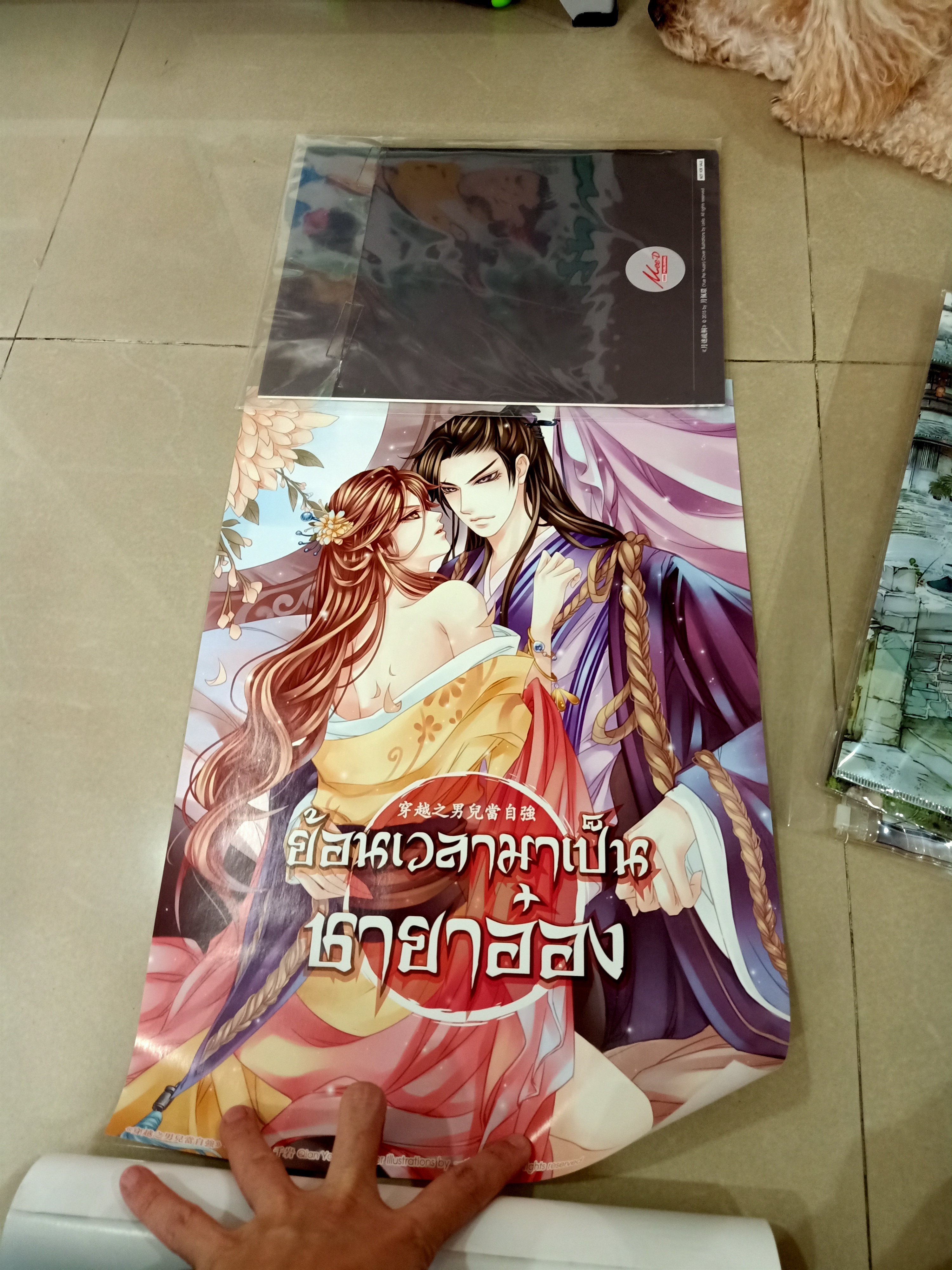 โปสเตอร์ ย้อนเวลามาเป็นชายาอ๋อง